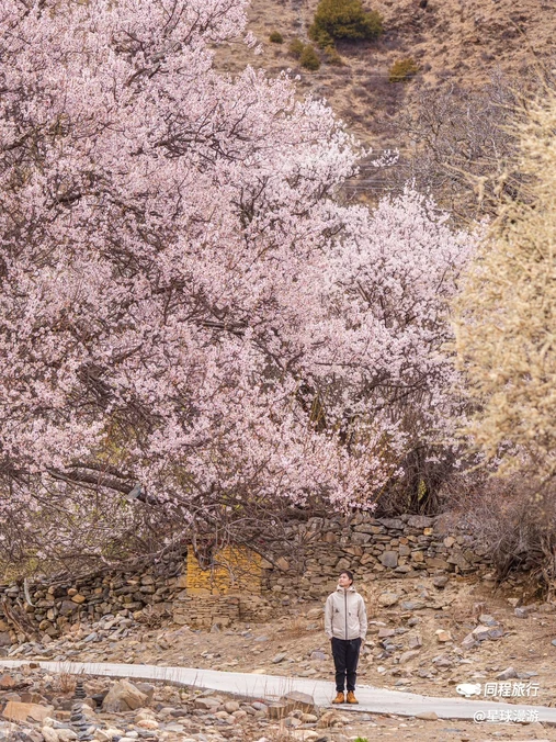 秀巴千年古堡群 - 林芝市旅游