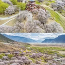 秀巴千年古堡群 - 林芝市旅游 缩略图 7