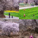秀巴千年古堡群 - 林芝市旅游 缩略图 6