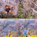 秀巴千年古堡群 - 林芝市旅游 缩略图 8