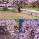 秀巴千年古堡群 - 林芝市旅游 缩略图 5