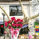 镇江博物馆 - 镇江市旅游 缩略图 7