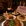 长春市·The Molly x Homebar
