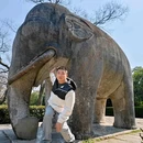 明孝陵景区 - 南京市旅游 缩略图 5