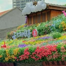黎黄陂路 - 武汉市旅游 缩略图 8