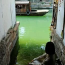 乌镇古镇旅游区 - 嘉兴市旅游 缩略图 2