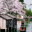 乌镇古镇旅游区 - 嘉兴市旅游 缩略图 1