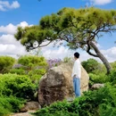 福记园林 - 佛山市旅游 缩略图 1