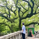 福记园林 - 佛山市旅游 缩略图 2