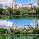 福记园林 - 佛山市旅游 缩略图 4