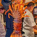 初和料理(芙蓉新天地店) - 西安市旅游 缩略图 3