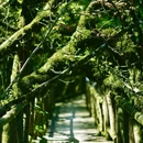 龙苍沟森林公园 - 雅安市旅游 缩略图 9