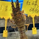 大石堂粥底火锅·牛肉海鲜市集(番禺长隆大石店) - 广州市旅游 缩略图 8