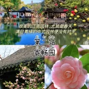 惠山古镇 - 无锡市旅游 缩略图 2