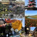 惠山古镇 - 无锡市旅游 缩略图 9