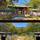 灵谷景区 - 南京市旅游 缩略图 7