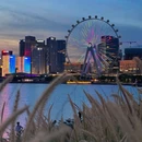 深圳湾公园 - 深圳市旅游 缩略图 2