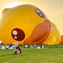 深圳湾公园 - 深圳市旅游 缩略图 3