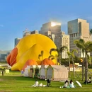 深圳湾公园 - 深圳市旅游 缩略图 7