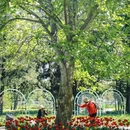 北京植物园 - 北京市旅游 缩略图 1