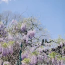 北京植物园 - 北京市旅游 缩略图 7