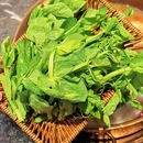 脆鲜生-中山脆皖鱼火锅壹方天地店 - 深圳市旅游 缩略图 8