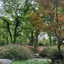 东湖磨山景区南门停车场 - 武汉市旅游 缩略图 1
