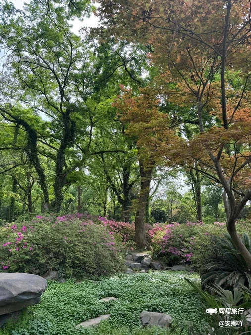 东湖磨山景区南门停车场 - 武汉市旅游