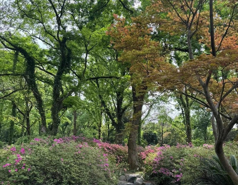 东湖磨山景区南门停车场 - 武汉市旅游 1