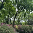 东湖磨山景区南门停车场 - 武汉市旅游 缩略图 8