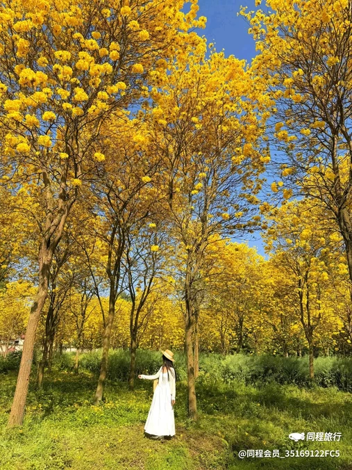 蜀彭瓦业有限公司(羊马总代理) - 成都市旅游