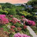 下渚湖·奇幻谷 - 湖州市旅游 缩略图 1