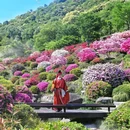 下渚湖·奇幻谷 - 湖州市旅游 缩略图 3