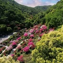 下渚湖·奇幻谷 - 湖州市旅游 缩略图 4
