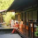 下渚湖·奇幻谷 - 湖州市旅游 缩略图 8