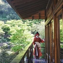 下渚湖·奇幻谷 - 湖州市旅游 缩略图 9