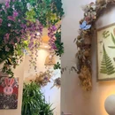 长春市朝阳区疾病预防控制中心 - 长春旅游 缩略图 9