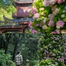 永福禅寺 - 杭州市旅游 缩略图 1