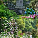 永福禅寺 - 杭州市旅游 缩略图 2