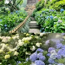 永福禅寺 - 杭州市旅游 缩略图 5