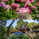 永福禅寺 - 杭州市旅游 缩略图 8