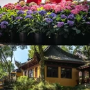 永福禅寺 - 杭州市旅游 缩略图 7