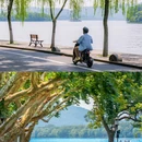 杭州西湖风景名胜区-岳王庙 - 杭州市旅游 缩略图 4