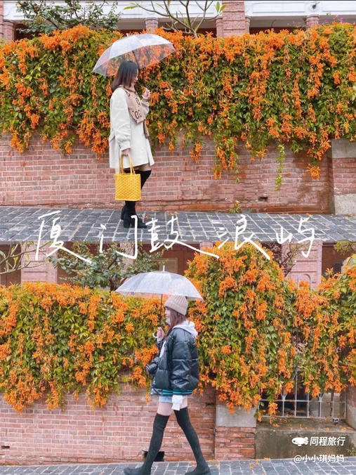 鼓浪屿 - 厦门市旅游