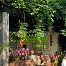平江历史街区 - 苏州旅游 缩略图 7