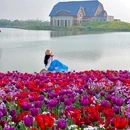荷兰花海 - 盐城市旅游 缩略图 7