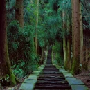 蒙顶山风景名胜区 - 雅安市旅游 缩略图 5