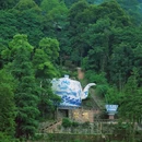 蒙顶山风景名胜区 - 雅安市旅游 缩略图 6