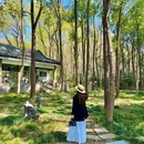望山街森林艺术街区 - 南京市旅游 缩略图 6