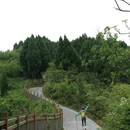 炮台山 - 成都市旅游 缩略图 2